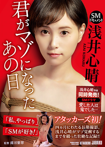 SMドキュメント 君がマゾになったあの日