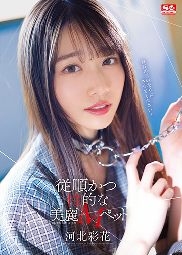 従順かつ性的な美麗Mペット