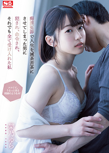 痴漢冤罪で人生を滅茶苦茶にさせてしまった男に犯され、命令され、それでも全て受け入れた私